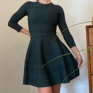 Gianni Bini Fit and Flare Long Sleeve Skater Dolly Dress Green & Black